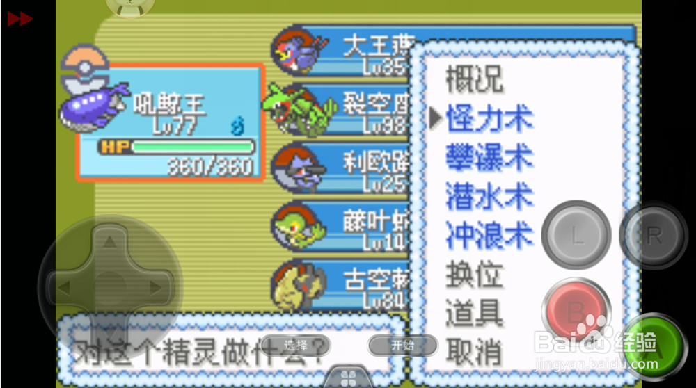 口袋妖怪漆黑的魅影炎帝怎么抓