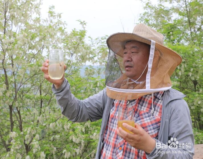 豆浆不甜能放蜂蜜吗?豆浆可以加蜂蜜吗?