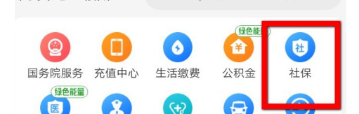 如何查询支付宝社保缴费记录