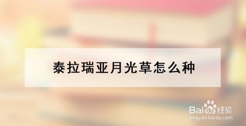 泰拉瑞亚月光草怎么种 百度经验 泰拉瑞亚月光草怎么种 百度经验