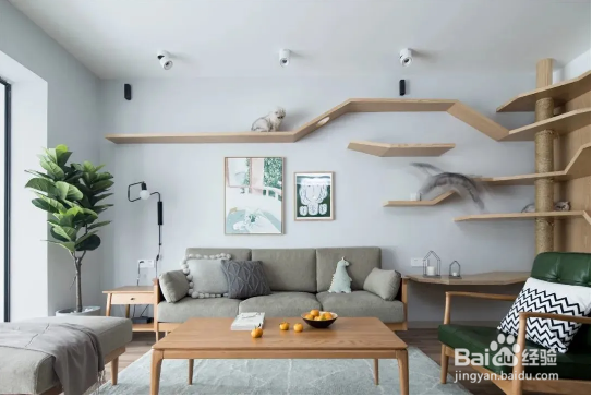 装修避坑指南,看完少走弯路