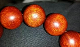 鸡血小叶紫檀是什么