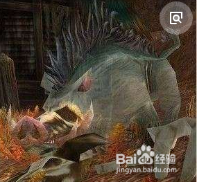 北境之地野猪种族心得分享