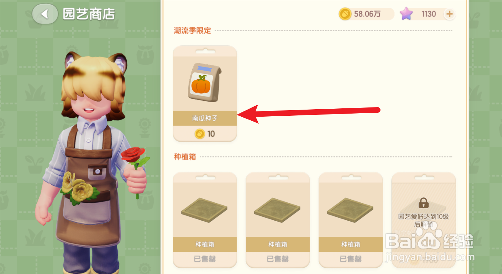 心动小镇中的南瓜种子在哪买