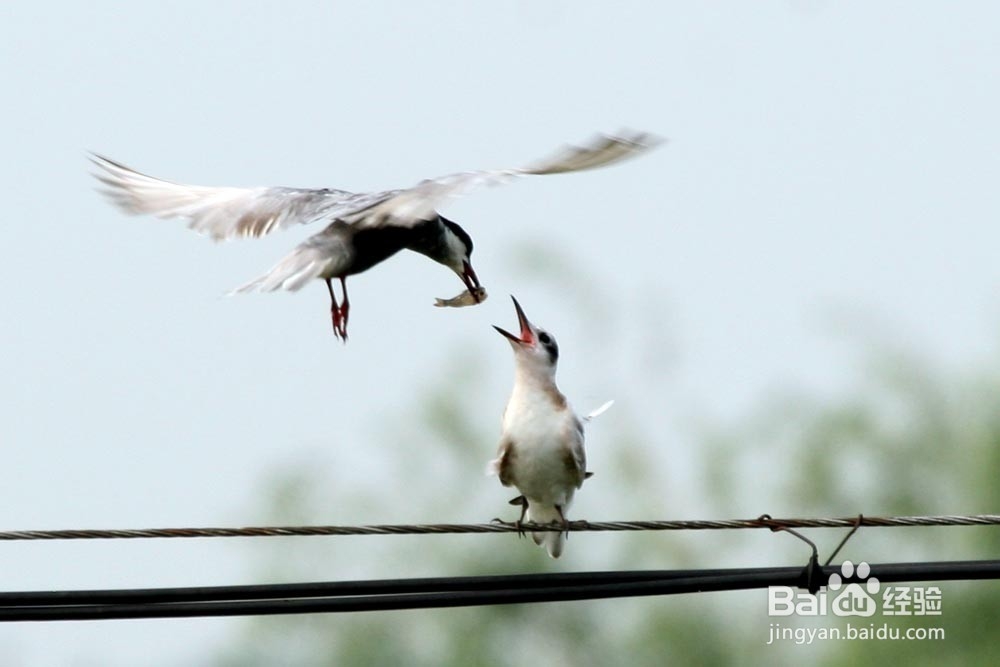 如何减少恋爱中的痛苦？