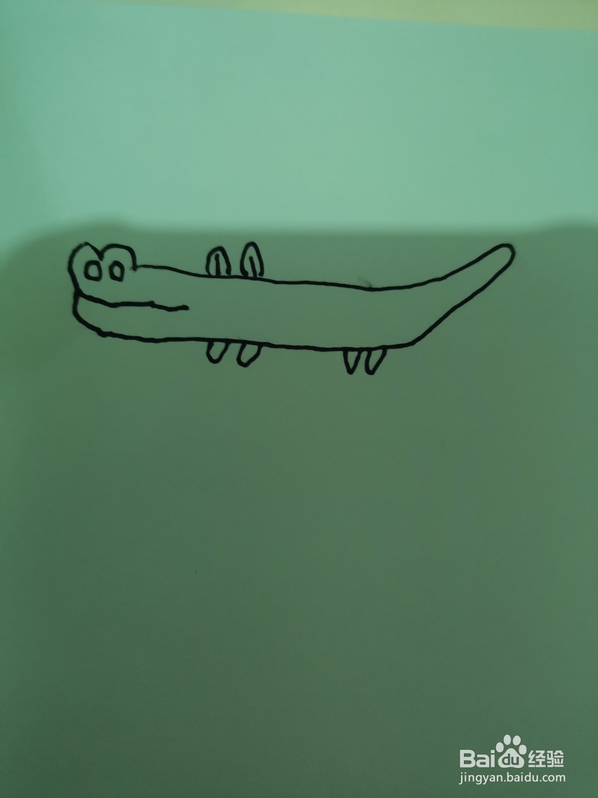 简笔画鳄鱼怎么画？