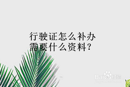 行驶证怎么补办需要什么资料