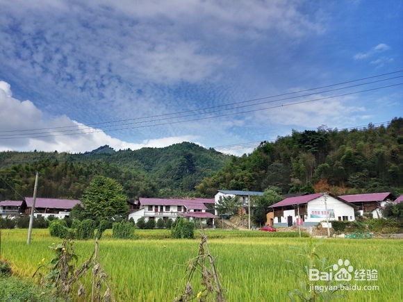 美图手机V4效果图