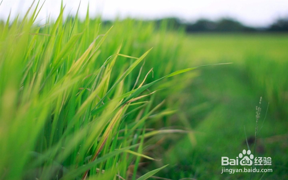 如何对待日渐疏远的朋友？