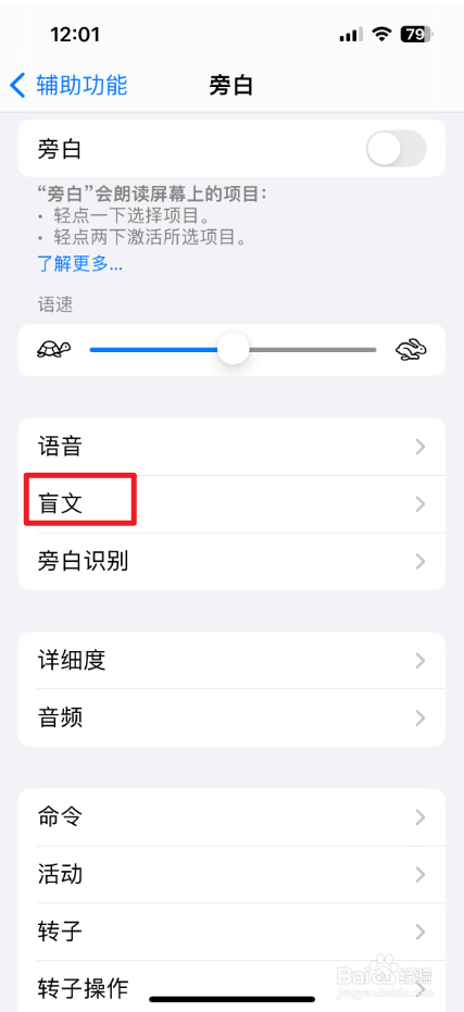 怎么设置iPhone旁白盲文