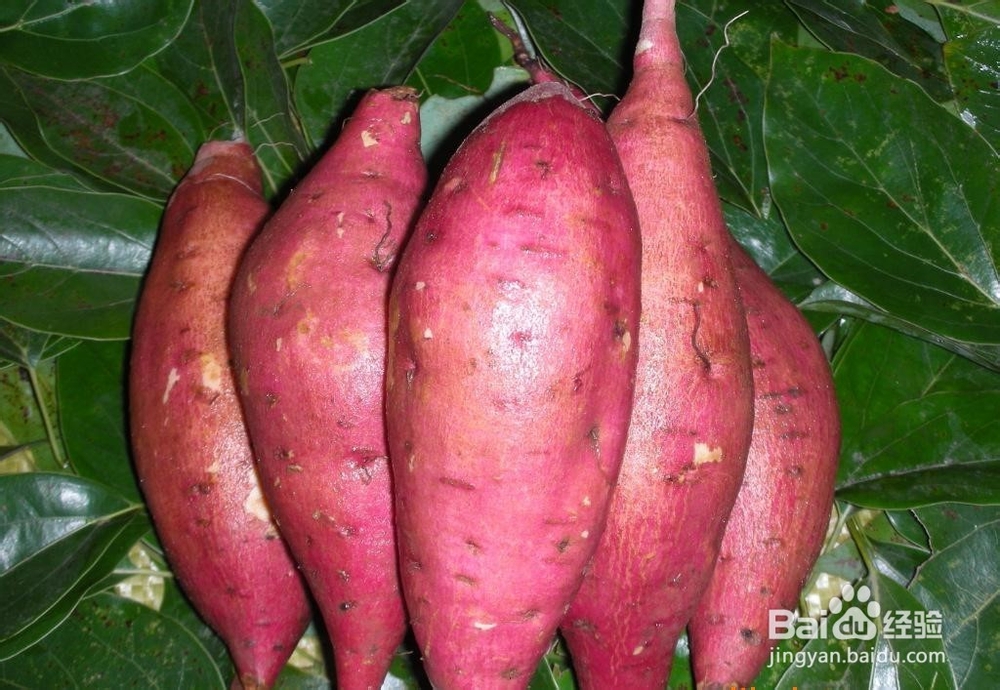 那些蔬菜多吃可美白