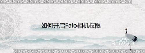 如何开启Falo相机权限