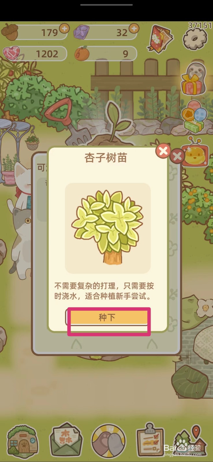 鼹鼠同行之森林之家如何获得杏子