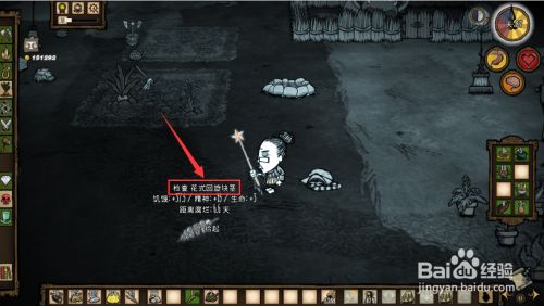 饥荒新鲜人参怎么保存和食用方法