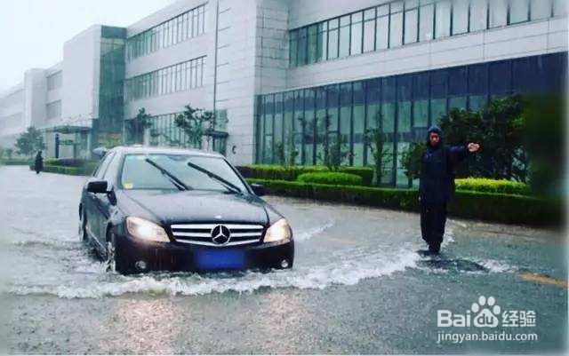 工厂如何布控蚊蝇