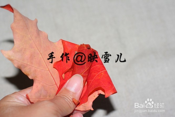 如何用叶子做玫瑰花