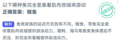 哪种鱼靠肌肉收缩来游动神奇海洋12.31答案