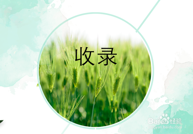 怎么让百度搜索到自已的网站?