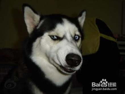 怎么坚持减肥计划？