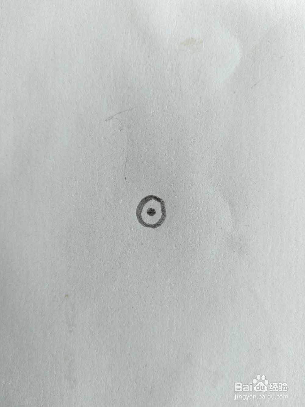 教你画简笔画蚂蚁
