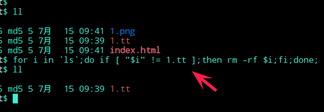 rm命令如何在删除文件时排除忽略某特定文件