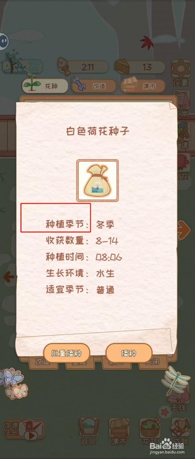 花店物语如何查看白色荷花种子的种植季节