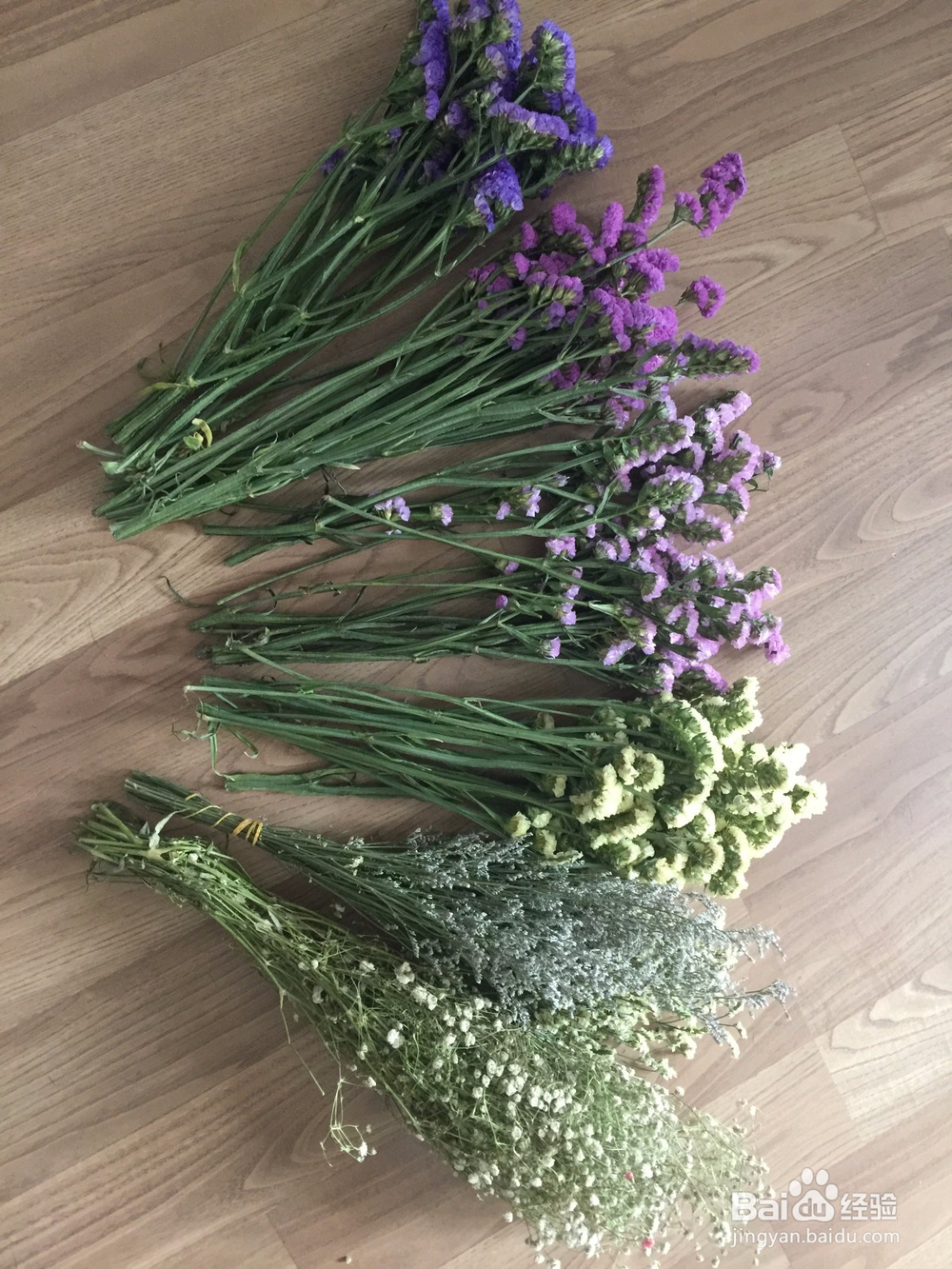 勿忘我干花花束速变瓶插花