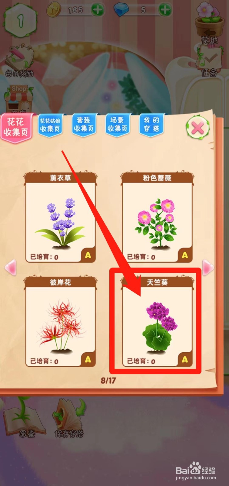 花花姑娘之魔法花园如何查看天竺葵稀有度
