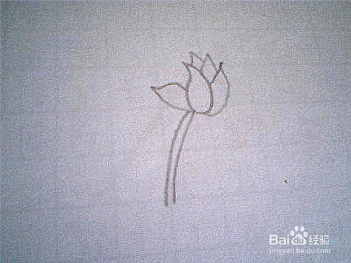 简笔画仙鹤来这样画