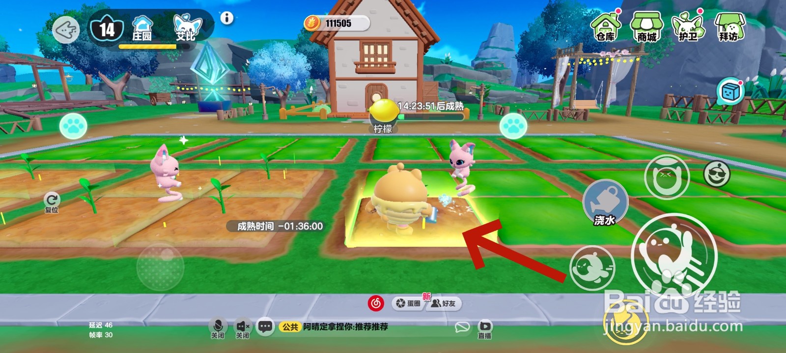 蛋仔派对游戏中怎么给柠檬树浇水