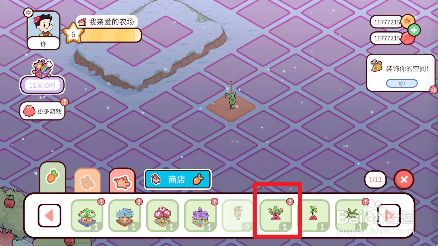 我亲爱的农场如何种植甜菜头
