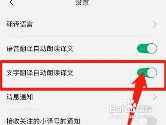 彩云小译怎么设置文字翻译自动朗读译文