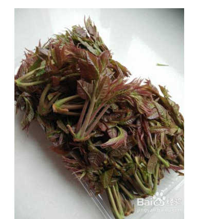 怎么做家常凉拌香椿