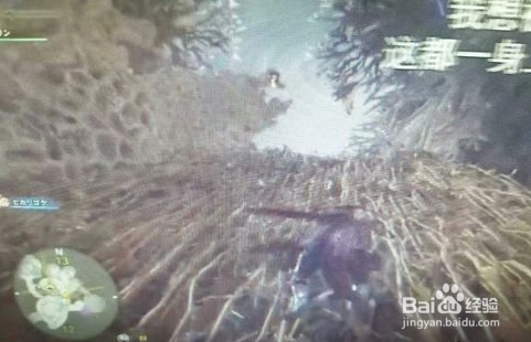 怪物猎人世界麒麟怎么打