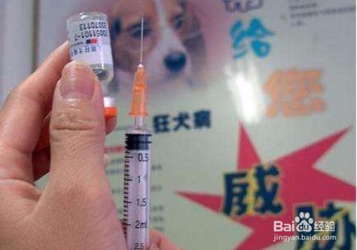 狂犬病患者如何护理