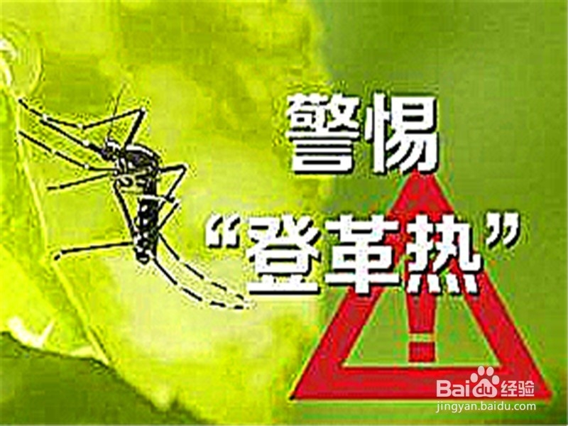 感染登革热有什么症状？