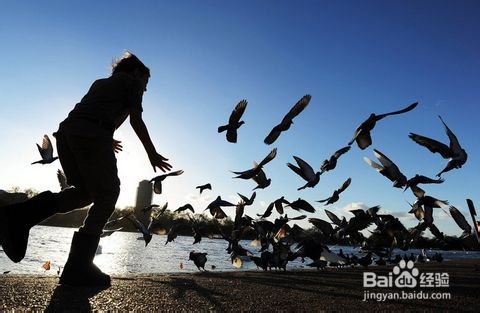 公务员考试第七阶段：面试开始