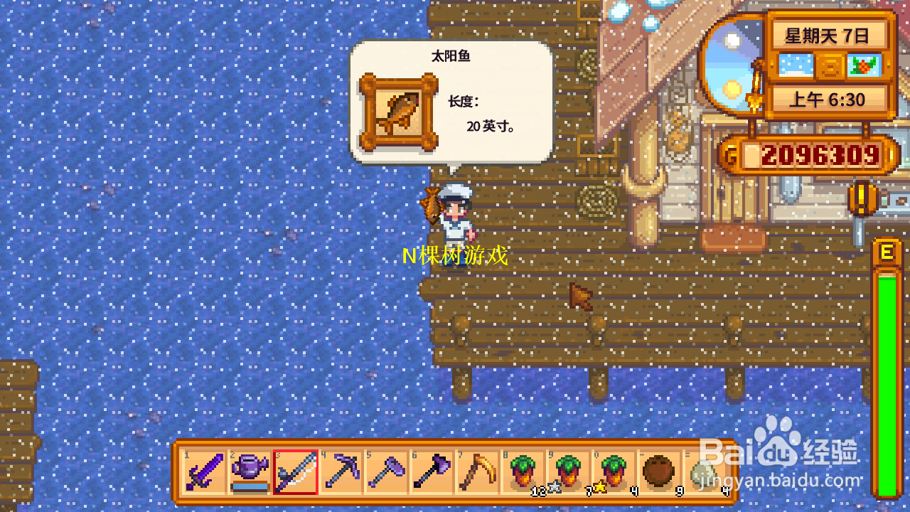 星露谷物语塞巴斯蒂安攻略