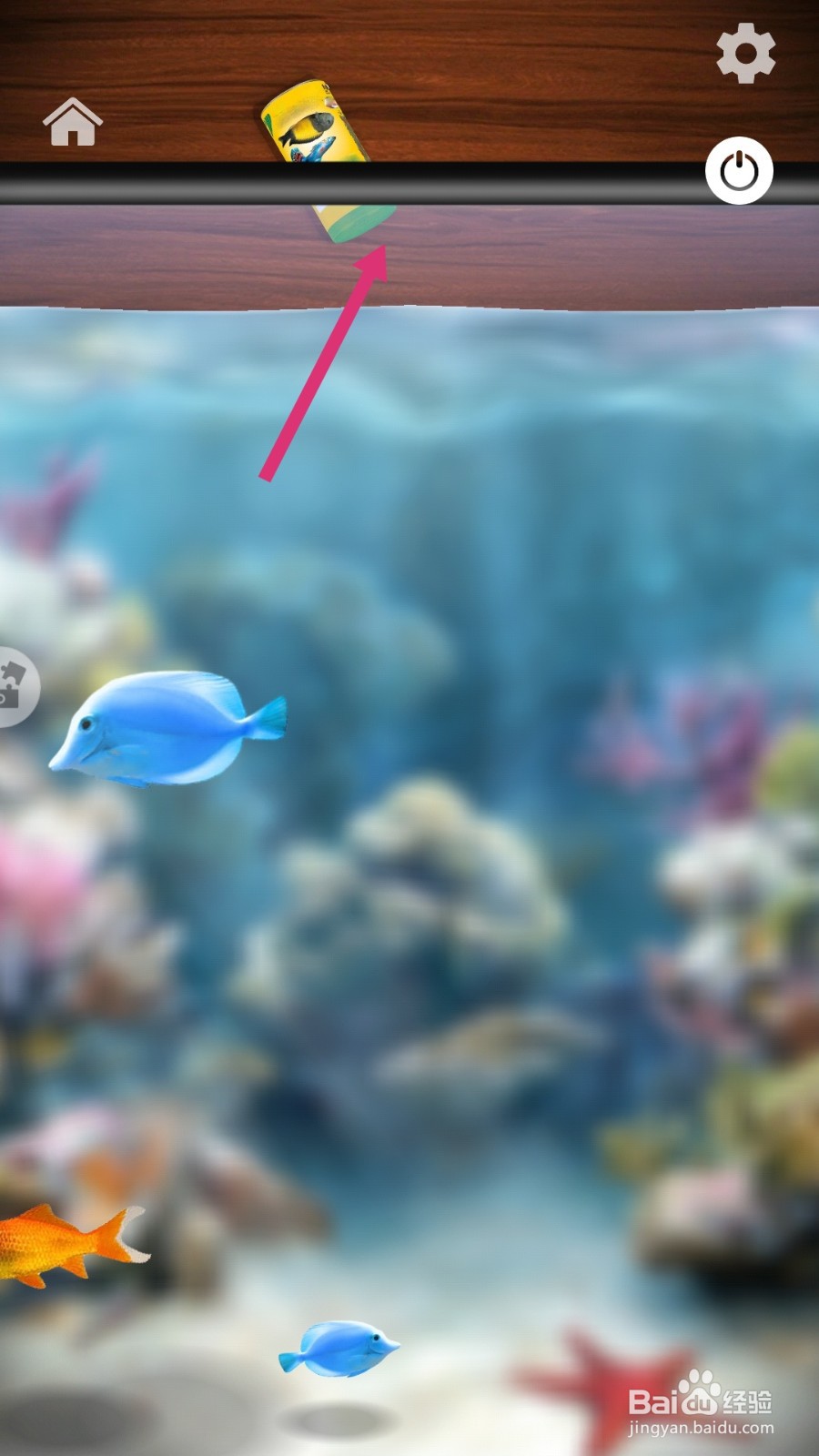 消林传说如何玩水族箱？