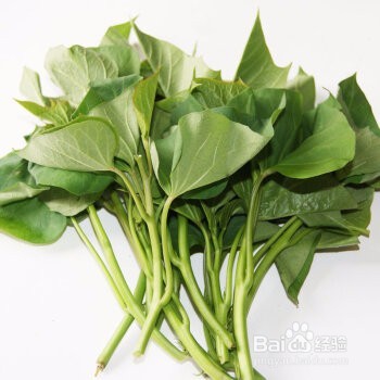 红薯叶子都有哪些好处