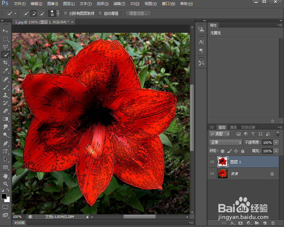 怎样给花朵添加墨水轮廓效果
