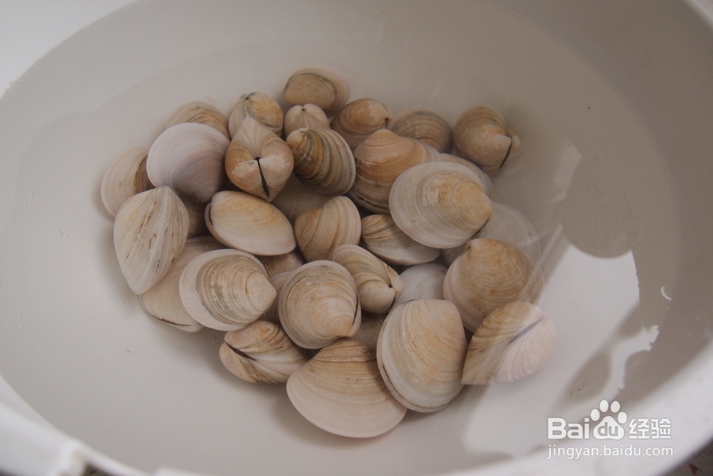 海鲜美食-蛤蜊炖蛋