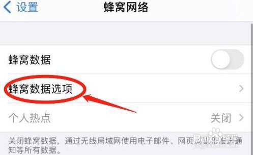 iphone12的5g网络怎样关闭