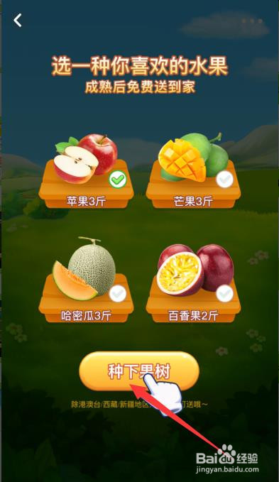 美团怎么领免费水果?