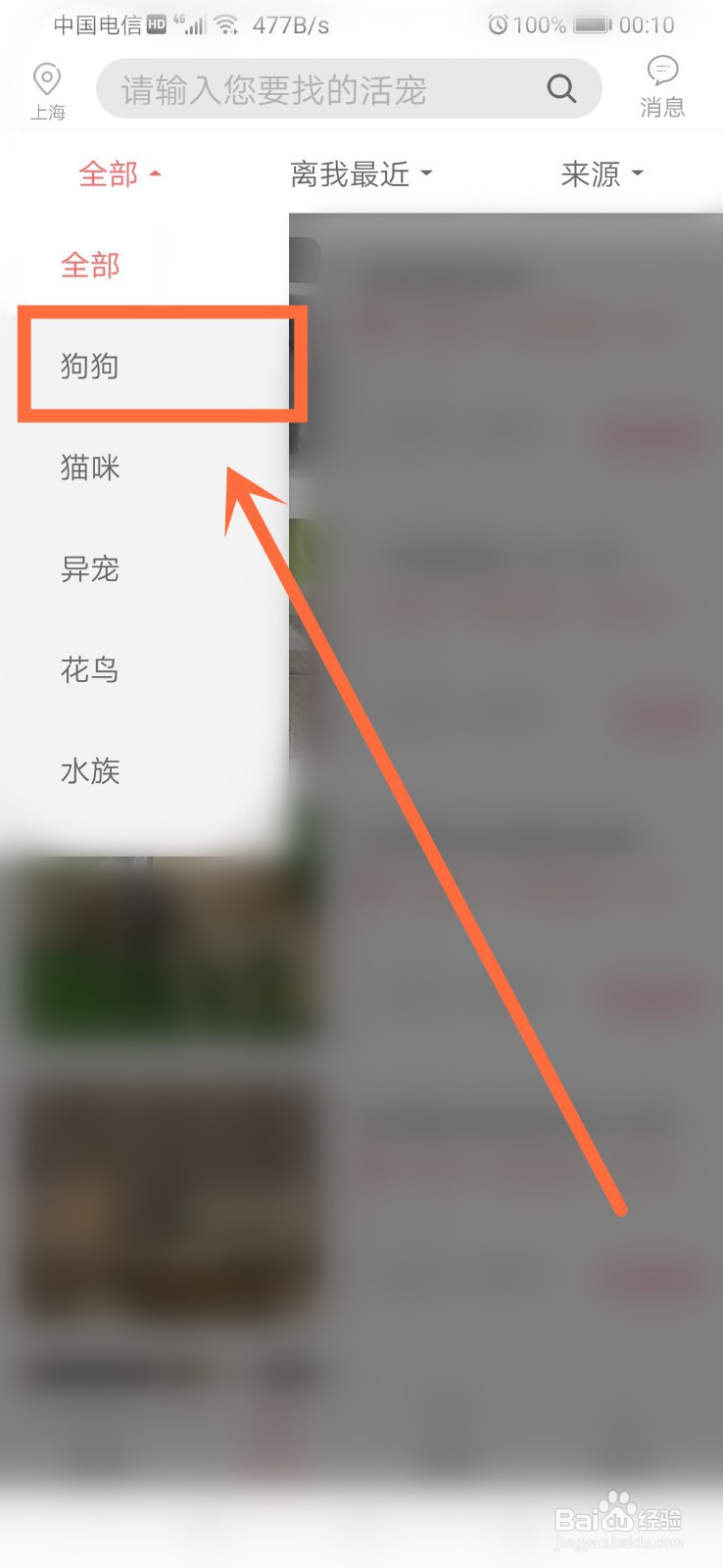在哪里可以买狗
