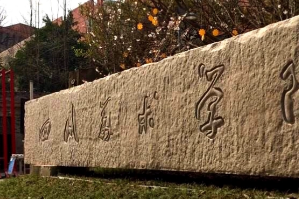 四川艺术学校有哪些