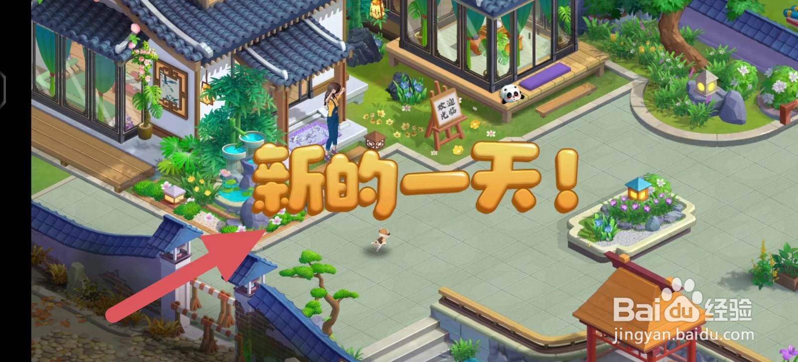 花田小院怎么完成新的一天任务？