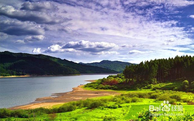 沈阳车主自驾游:抚顺浑河源森林公园