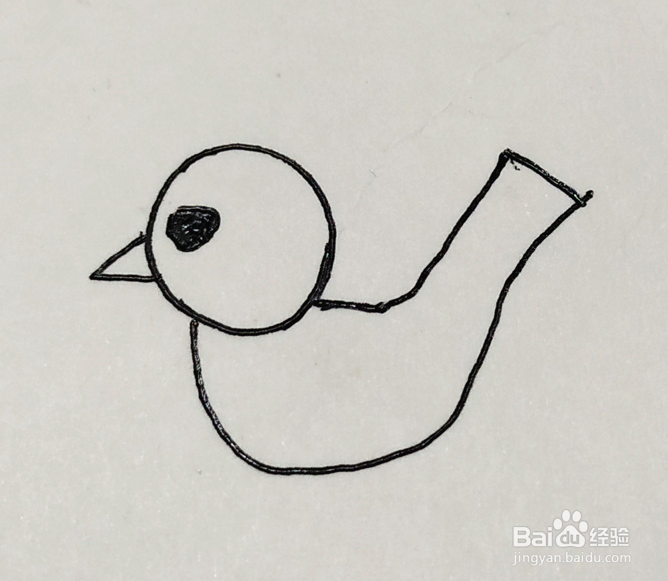 怎样画一只呆萌的小鸟