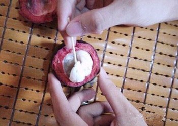 剥山竹有没有什么妙招呢?